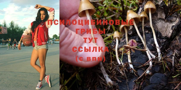 прущие крисы Абаза