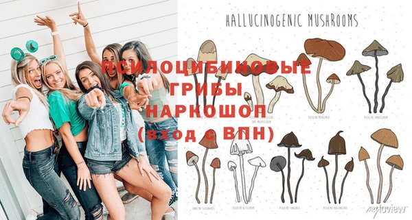 прущие крисы Абаза