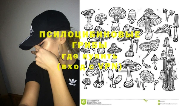 шишки Липки