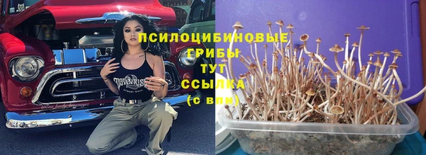 гидра Абдулино