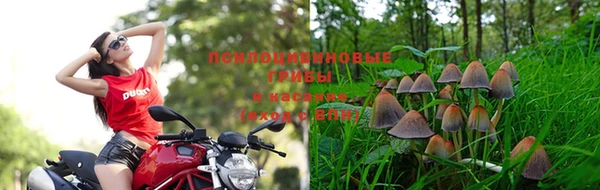 мдпв Лиски