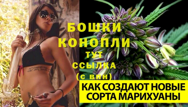шишки Липки