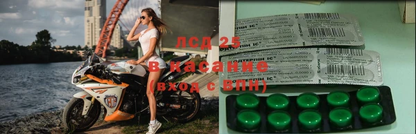 шишки Липки